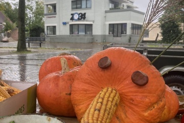 Herfstvakantie acties op de Markt in Emmen op vrijdag